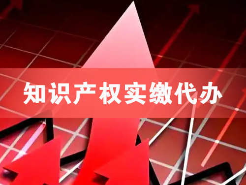 峨眉山知识产权实缴资本代办